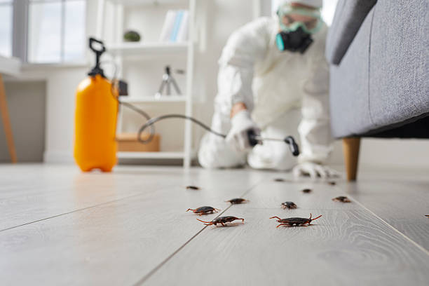 Trusted Cockroach Control service in Collegeville, PA - Nex Pest Control